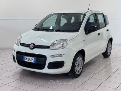 Fiat Panda 1.2 BENZINA Easy - COME NUOVA Bianco usata Pollenza