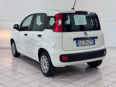 Fiat Panda 1.2 BENZINA Easy - COME NUOVA Bianco usata Pollenza