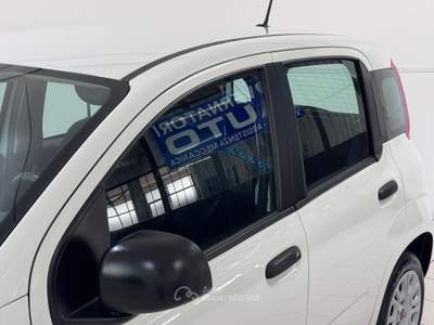 Fiat Panda 1.2 BENZINA Easy - COME NUOVA Bianco usata Pollenza