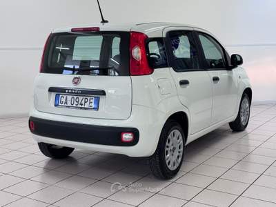 Fiat Panda 1.2 BENZINA Easy - COME NUOVA Bianco usata Pollenza