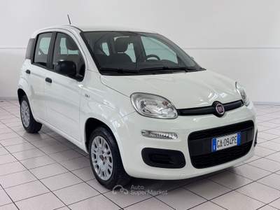 Fiat Panda 1.2 BENZINA Easy - COME NUOVA Bianco usata Pollenza