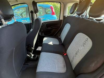 Fiat Panda Ottima occasione Bianco usata Castel Madama