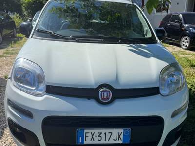Fiat Panda Ottima occasione Bianco usata Castel Madama