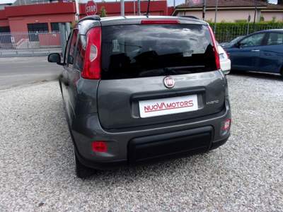 Fiat Panda FireFly S&S Hybrid City Life Grigio usata Montecatini-Terme