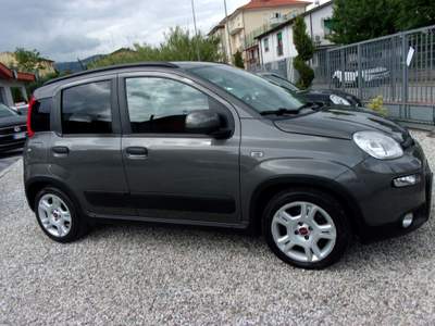 Fiat Panda FireFly S&S Hybrid City Life Grigio usata Montecatini-Terme
