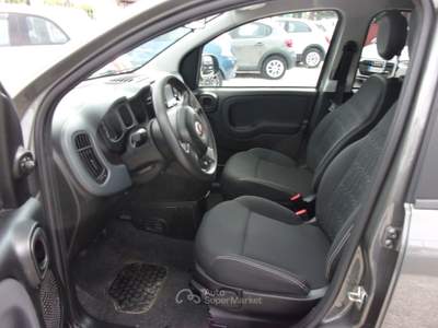 Fiat Panda FireFly S&S Hybrid City Life Grigio usata Montecatini-Terme