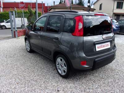Fiat Panda FireFly S&S Hybrid City Life Grigio usata Montecatini-Terme
