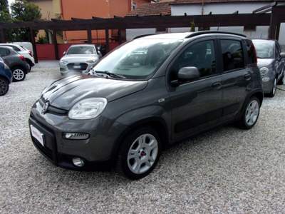 Fiat Panda FireFly S&S Hybrid City Life Grigio usata Montecatini-Terme