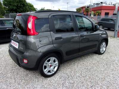 Fiat Panda FireFly S&S Hybrid City Life Grigio usata Montecatini-Terme