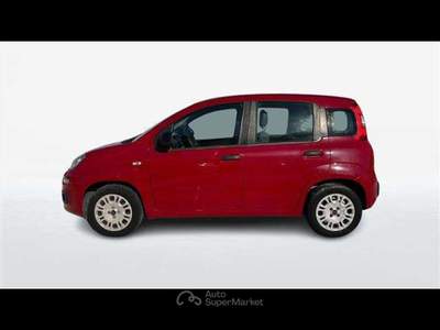 Fiat Panda 1.2 69cv Easy E6 Rosso usata Empoli