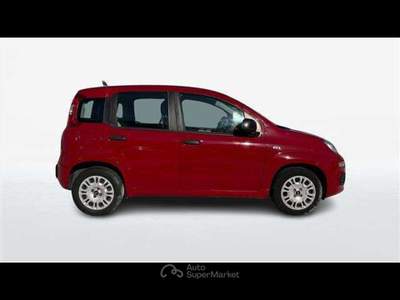 Fiat Panda 1.2 69cv Easy E6 Rosso usata Empoli
