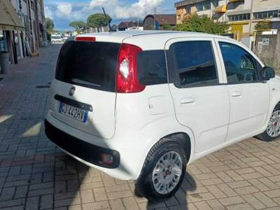 Fiat Panda 35188KM IVA ESPOSTA Bianco usata Follonica