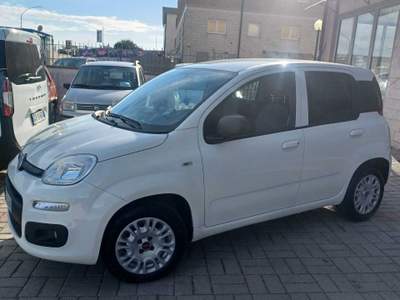 Fiat Panda 35188KM IVA ESPOSTA Bianco usata Follonica