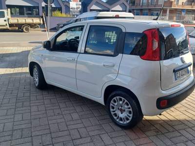 Fiat Panda 35188KM IVA ESPOSTA Bianco usata Follonica