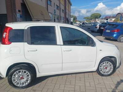 Fiat Panda 35188KM IVA ESPOSTA Bianco usata Follonica