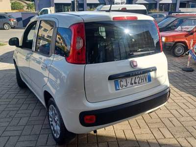 Fiat Panda 35188KM IVA ESPOSTA Bianco usata Follonica