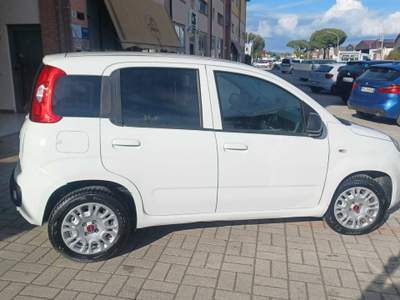 Fiat Panda 35188KM IVA ESPOSTA Bianco usata Follonica