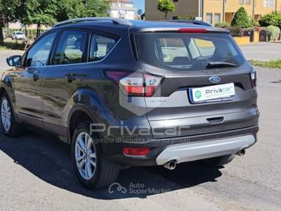 Ford Kuga FORD Kuga 1.5 TDCI 120 CV S&S 2WD Business Grigio usata Aprilia