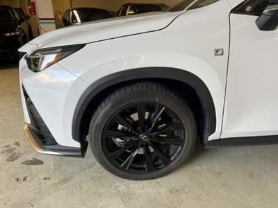 Lexus NX 450h Plug-in 4WD F-Sport Blu/Azzurro usata Borgo San Dalmazzo