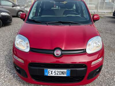 Fiat Panda Lounge usata Barletta