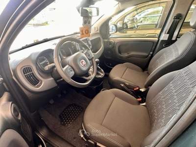 Fiat Panda Panda Cross 1.0 FireFly S&S Hybrid Verde usata Strambino