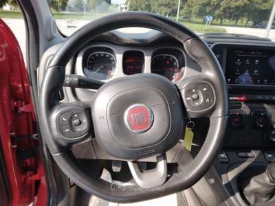 Fiat Panda 1.0 FireFly S&S Hybrid City Cross Rosso usata Piazzola sul Brenta