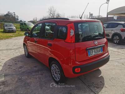 Fiat Panda FIAT PANDA 1.2 BENZINA CON 19.000 KM Rosso usata CASSINO