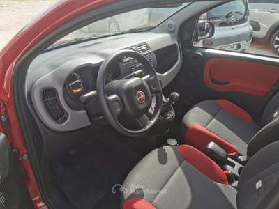 Fiat Panda FIAT PANDA 1.2 BENZINA CON 19.000 KM Rosso usata CASSINO