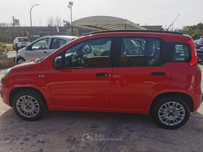 Fiat Panda FIAT PANDA 1.2 BENZINA CON 19.000 KM Rosso usata CASSINO