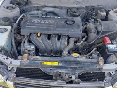 Toyota Corolla 1.4i 16V cat 3 porte Grigio usata Asigliano Veneto
