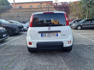 Fiat Panda 1.0 firefly hybrid City Life s&amp;s 70cv 2023 OK NEOPATENTATI Bianco usata ROMA