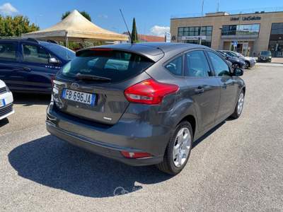 Ford Focus 1.0 EcoBoost 100 CV Start&Stop Business Grigio usata Sinalunga