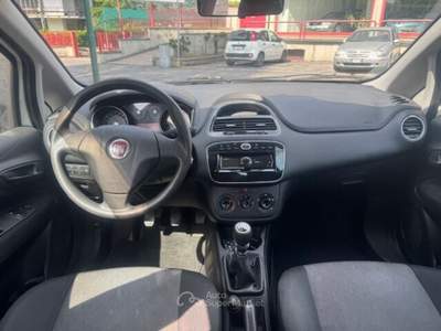 Fiat Punto Punto 1.2 8V 5 porte Young Bianco usata Concesio