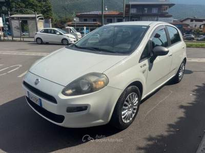 Fiat Punto Punto 1.2 8V 5 porte Young Bianco usata Concesio