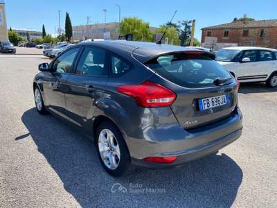 Ford Focus 1.0 EcoBoost 100 CV Start&Stop Business Grigio usata Sinalunga
