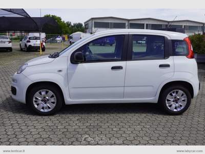 Fiat Panda FIAT Panda 1.3 MJT S&S Easy Van 4 posti Bianco usata Castelletto di Branduzzo