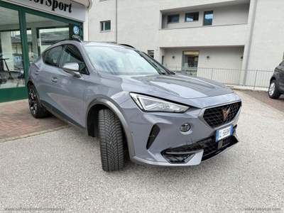 Cupra Formentor Formentor 2.0 TDI 4Drive DSG Grigio usata CALDONAZZO