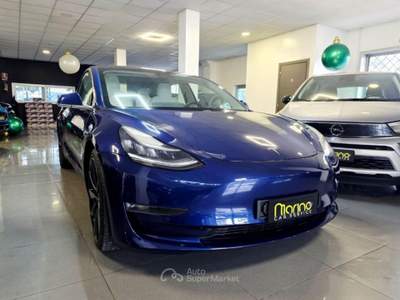 Tesla Model 3 DUAL MOTOR PERFORMANCE  Blu/Azzurro usata Carinaro