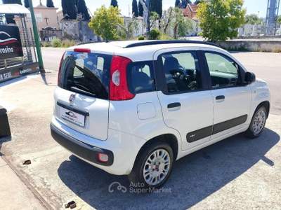 Fiat Panda 1.2 EasyPower Lounge Bianco usata Saviano