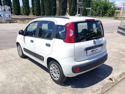 Fiat Panda 1.2 EasyPower Lounge Bianco usata Saviano