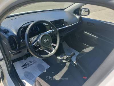 Kia Picanto 1.0 12V 5p. X Line Bianco usata Saviano
