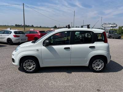 Fiat Panda Panda 1.2 Easy Van 4 posti +IVA Bianco usata Cerea
