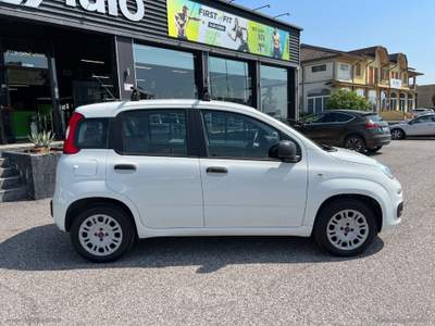 Fiat Panda Panda 1.2 Easy Van 4 posti +IVA Bianco usata Cerea