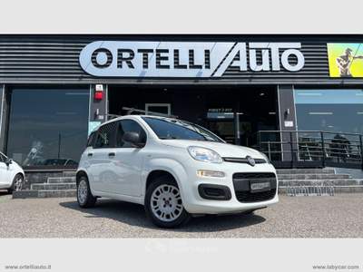 Fiat Panda Panda 1.2 Easy Van 4 posti +IVA Bianco usata Cerea