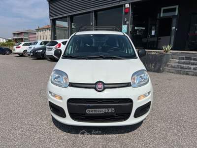 Fiat Panda Panda 1.2 Easy Van 4 posti +IVA Bianco usata Cerea