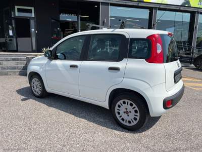Fiat Panda Panda 1.2 Easy Van 4 posti +IVA Bianco usata Cerea