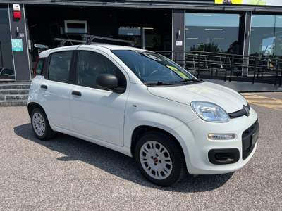 Fiat Panda Panda 1.2 Easy Van 4 posti +IVA Bianco usata Cerea