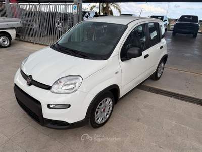 Fiat Panda Panda 1.0 FireFly S&S Hybrid Bianco usata TORRENOVA