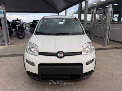 Fiat Panda Panda 1.0 FireFly S&S Hybrid Bianco usata TORRENOVA