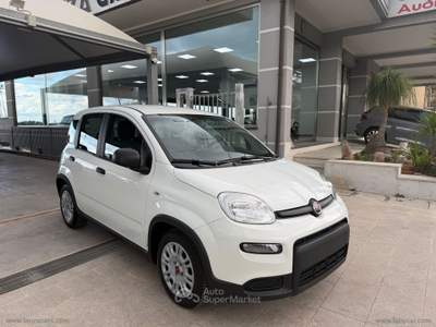 Fiat Panda Panda 1.0 FireFly S&S Hybrid Bianco usata TORRENOVA